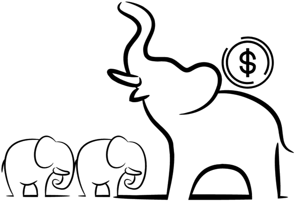 Teach on PassionClass Elephant